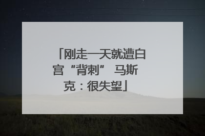 刚走一天就遭白宫“背刺” 马斯克：很失望